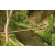 Team 11 / Raid l'Arbre Vert Amazones Bali - Trek