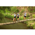 Team 11 / Raid l'Arbre Vert Amazones Bali - Trek