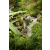 Team 23 / Raid l'Arbre Vert Amazones Bali - Trek