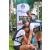 Team 54 / Raid l'Arbre Vert Amazones Bali - Trek