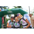 Team 20 / Raid l'Arbre Vert Amazones Bali - Trek