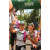 Team 43 / Raid l'Arbre Vert Amazones Bali - Trek
