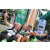 Team 19 / Raid l'Arbre Vert Amazones Bali - Trek