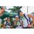 Team 15 / Raid l'Arbre Vert Amazones Bali - Trek