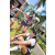 Team 24 / Raid l'Arbre Vert Amazones Bali - Trek
