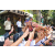 Team 66 / Raid l'Arbre Vert Amazones Bali - Trek