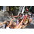 Team 09 / Raid l'Arbre Vert Amazones Bali - Trek