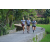 Team 01 / Raid l'Arbre Vert Amazones Bali - Trek