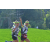 Team 01 / Raid l'Arbre Vert Amazones Bali - Trek