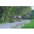 Team 42 / Raid l'Arbre Vert Amazones Bali - Trek
