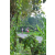 Team 65 / Raid l'Arbre Vert Amazones Bali - Trek