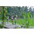 Team 65 / Raid l'Arbre Vert Amazones Bali - Trek
