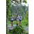 Team 63 / Raid l'Arbre Vert Amazones Bali - Trek