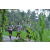 Team 38 / Raid l'Arbre Vert Amazones Bali - Trek