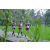 Team 08 / Raid l'Arbre Vert Amazones Bali - Trek