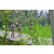 Team 09 / Raid l'Arbre Vert Amazones Bali - Trek