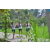 Team 03 / Raid l'Arbre Vert Amazones Bali - Trek