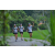 Team 32 / Raid l'Arbre Vert Amazones Bali - Trek