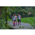 Team 70 / Raid l'Arbre Vert Amazones Bali - Trek