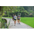 Team 39 / Raid l'Arbre Vert Amazones Bali - Trek