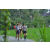 Team 41 / Raid l'Arbre Vert Amazones Bali - Trek