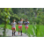 Team 28 / Raid l'Arbre Vert Amazones Bali - Trek