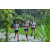 Team 59 / Raid l'Arbre Vert Amazones Bali - Trek
