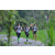 Team 19 / Raid l'Arbre Vert Amazones Bali - Trek