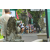 Team 51 / Raid l'Arbre Vert Amazones Bali - Trek