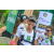 Team 45 / Raid l'Arbre Vert Amazones Bali - Trek