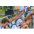 Team 39 / Raid l'Arbre Vert Amazones Bali - Trek