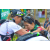 Team 17 / Raid l'Arbre Vert Amazones Bali - Trek
