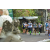 Team 19 / Raid l'Arbre Vert Amazones Bali - Trek