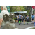 Team 19 / Raid l'Arbre Vert Amazones Bali - Trek