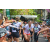 Team 64 / Raid l'Arbre Vert Amazones Bali - Trek