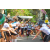 Team 36 / Raid l'Arbre Vert Amazones Bali - Trek