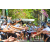 Team 36 / Raid l'Arbre Vert Amazones Bali - Trek