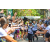 Team 53 / Raid l'Arbre Vert Amazones Bali - Trek