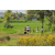 Team 66 / Raid l'Arbre Vert Amazones Bali - Trek