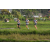 Team 66 / Raid l'Arbre Vert Amazones Bali - Trek