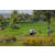 Team 63 / Raid l'Arbre Vert Amazones Bali - Trek