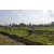 Team 15 / Raid l'Arbre Vert Amazones Bali - Trek