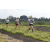 Team 01 / Raid l'Arbre Vert Amazones Bali - Trek