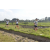 Team 42 / Raid l'Arbre Vert Amazones Bali - Trek