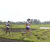 Team 65 / Raid l'Arbre Vert Amazones Bali - Trek
