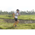 Team 66 / Raid l'Arbre Vert Amazones Bali - Trek
