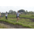 Team 62 / Raid l'Arbre Vert Amazones Bali - Trek
