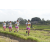 Team 29 / Raid l'Arbre Vert Amazones Bali - Trek