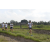 Team 71 / Raid l'Arbre Vert Amazones Bali - Trek