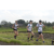 Team 54 / Raid l'Arbre Vert Amazones Bali - Trek